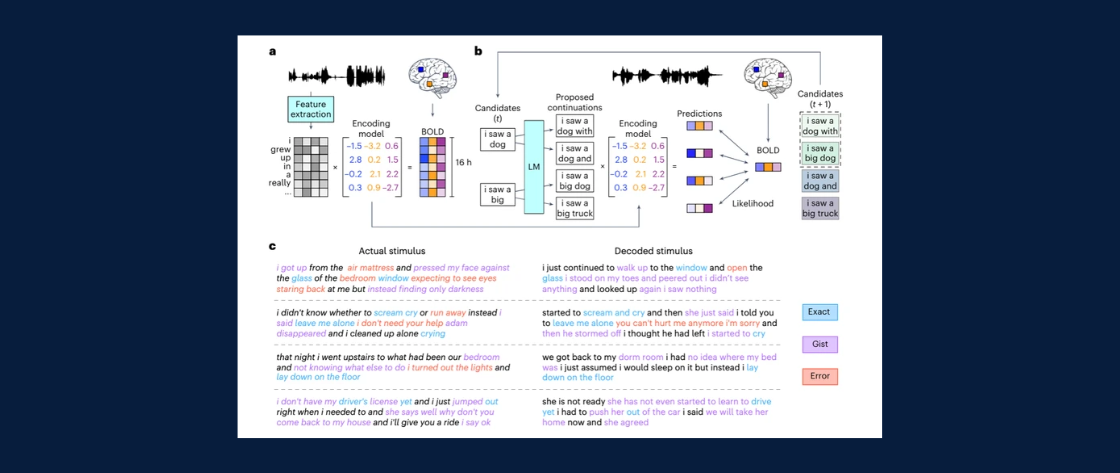 AI managed to translate a person’s thoughts into text using fMRI - screenshot